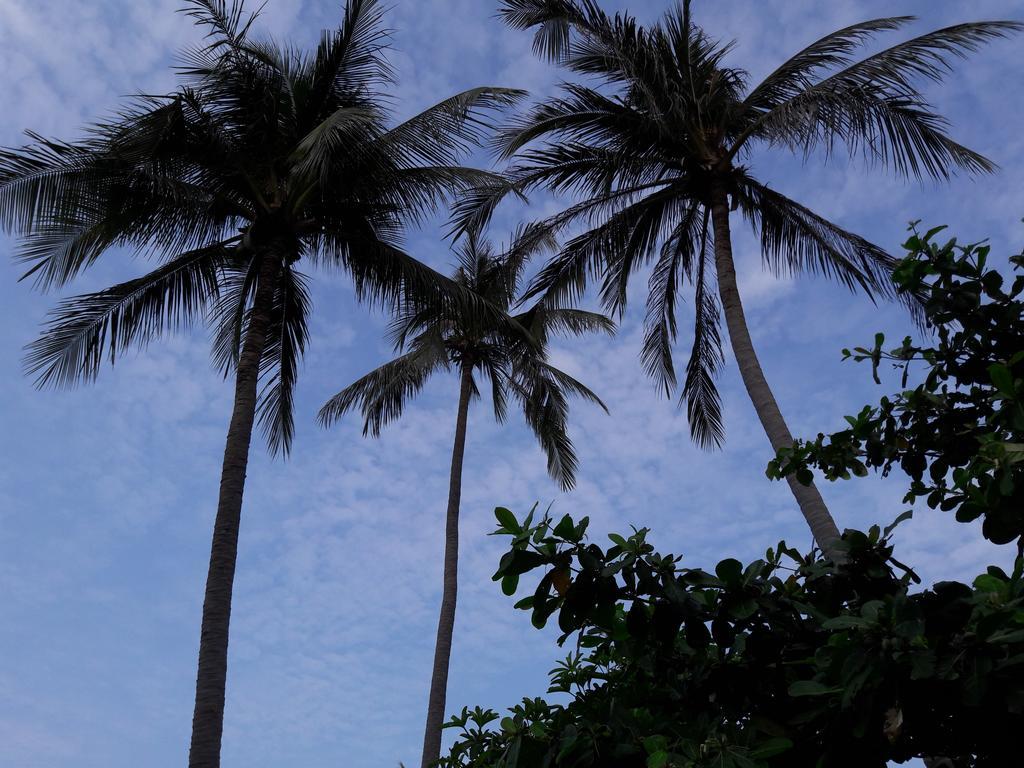 Bach Duong Hotel Phan Thiet Exterior photo
